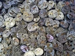 Watch Parts Supplies Vintage Small Mechanisms 44 Pc. Steampunk Movements. Fixed Price $48.90.