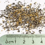 100 Elgin Wrist Screws Part Watchmaker Repair Lot American Asst Pocket 2. Fixed Price $14.24.
