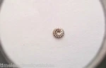 Tudor Watch Parts No Winding Pinion, New. Calibre 390-410. Fixed Price $40.00.