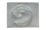 Seiko 7T24A - 7T92A Minute Wheel #261580 Japan Made Discounts Up To 15%. Fixed Price $12.00.