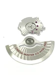 Omega Caliber 9900 Rotor Watch Parts Swiss Automatic Movement Weight Bridge. Fixed Price $296.99.