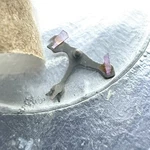 Nos Genuine Jewelled Pallet Fork & Staff Seiko 6106B 6106C 25J / 301612. Fixed Price $9.99.