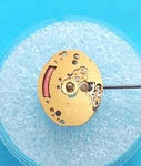 Genuine Nos Eta 978.002-GUCCI 6 Jewel Movement. Sets, Runs,keep Time 24 Hrs.. Fixed Price $95.00.