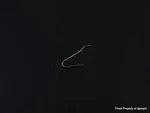 Vintage Original Omega Bolt Spring For Hammer Part #1752 Seamaster Cal. 865. Fixed Price $14.95.