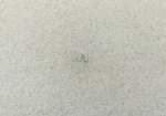 Genuine Rolex 3035 5066-1 Clip Watch Part. Fixed Price $23.99.