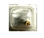 Omega 069SX22061 Crown Black Stone Gold Plated Genuine New. Fixed Price $107.45.