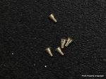 Vintage Universal Geneve Cal. 1-67C Set Bridge Screws Part # 5445. Fixed Price $24.95.