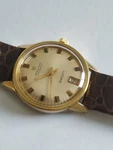 Hamiliton - "estoril" Automatic Watch With Date.. Fixed Price $650.00.