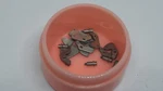 Genuine Nos Seiko 383570 Setting Lever For 3180 Gs, 560, Lord Marvel. Fixed Price $15.00.
