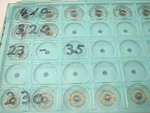 New Balance Wheel For Certina Movement 410 230 28-15 330. Fixed Price $28.00.