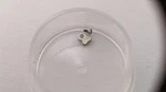 Genuine Lecoultre P812 Click And Screw. See Photos. Pre-owned For Watch Repair. Fixed Price $65.00.