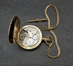 1894 American Waltham Royal 5910737 Fahys 14K Extra Gf Case Pocket Watch Antique. Fixed Price $200.00.