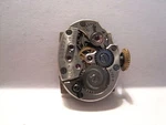 Antique Lds Elgin # 619, 17X12 Mm-size, Watch Movement JEWELS,ADJS-4,. Fixed Price $22.00.